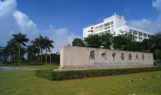 广东大学分几档